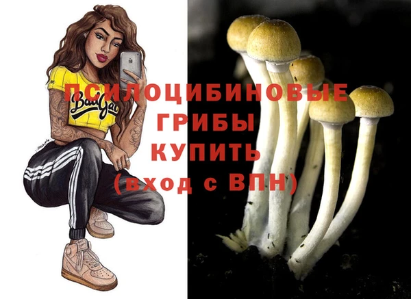 шишки Переславль-Залесский