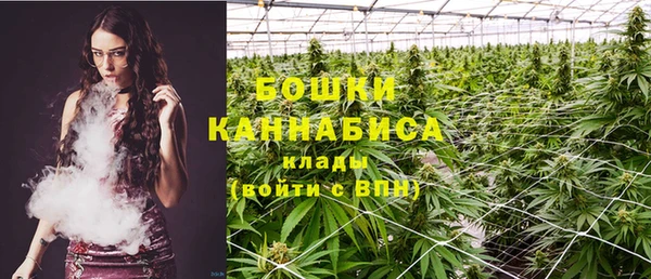 метадон Пестово